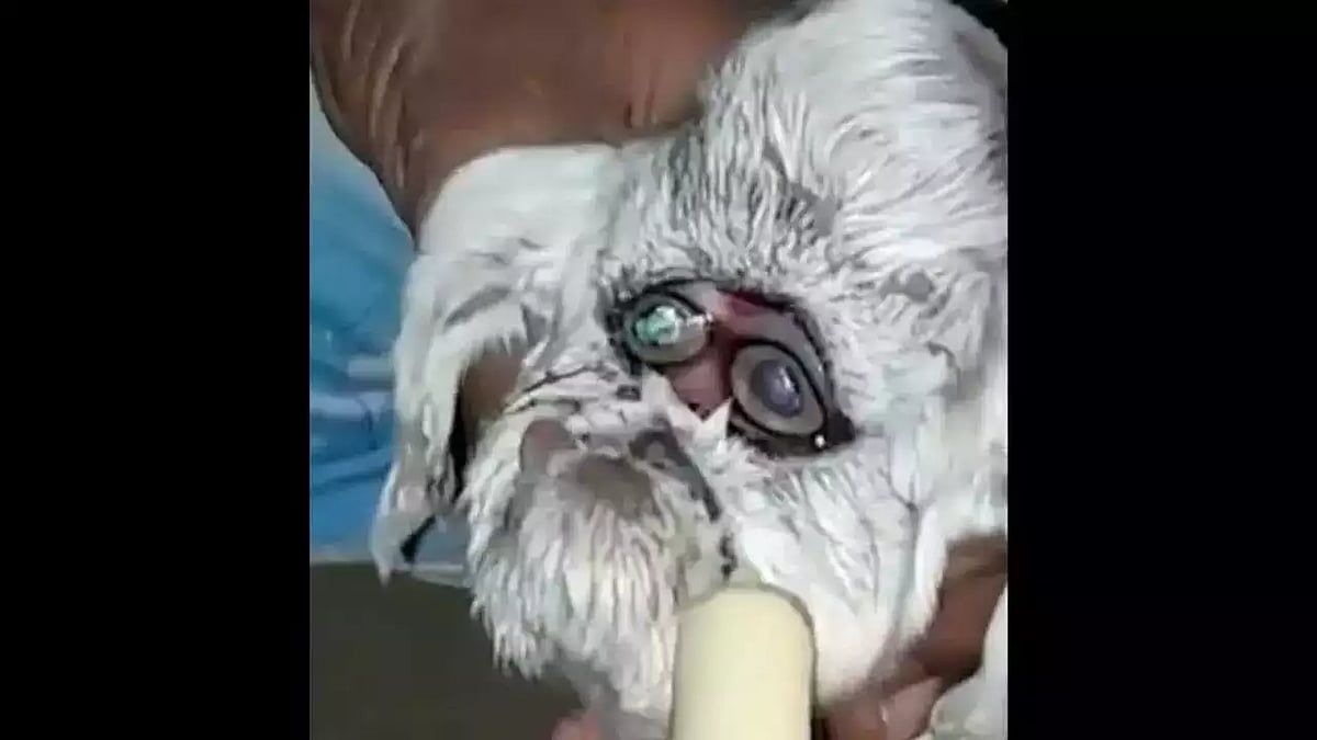 Viral Video: Goat delivers human-like baby resembling grumpy old man with a beard in Vidisha