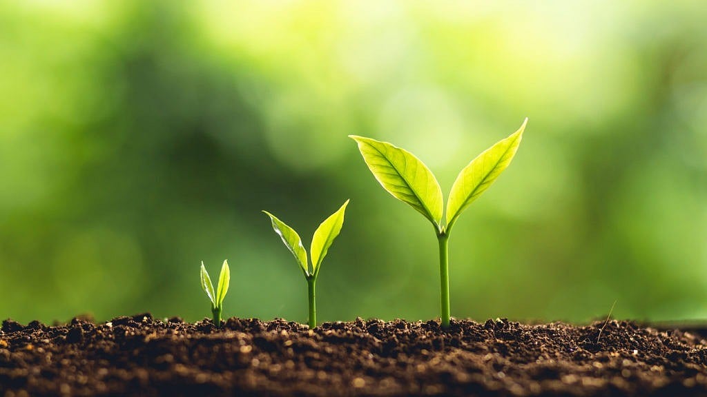 Indian agrifood startups get record $4.6 bn investment in FY22