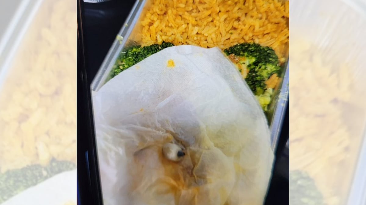Viral photo: Wait, what? Passenger finds 'tooth' in served in-flight meal 
