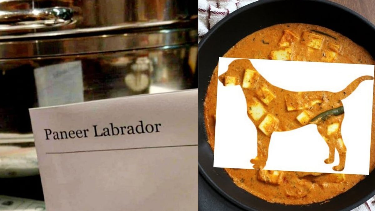 Not paneer lababdar, 'paneer labrador' mentioned in restaurant menu, netizens are furious over the goof-up 