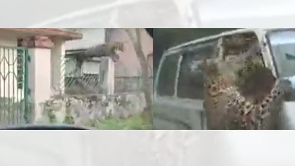On camera: Leopard jumps through building fence, hits vehicle on road while injuring at least 13 in Assam's Jorhat