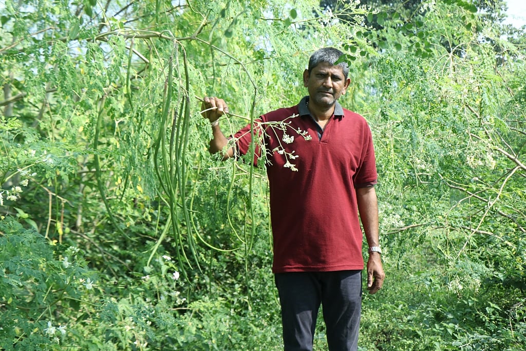 Success Story: Digital agriculture helps Khargone farmer earn Rs 6L profit in 3 yrs  