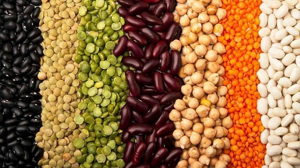 Indore Commodities Buzz of December 30: Price of Gold, Silver and pulses - All you need to know