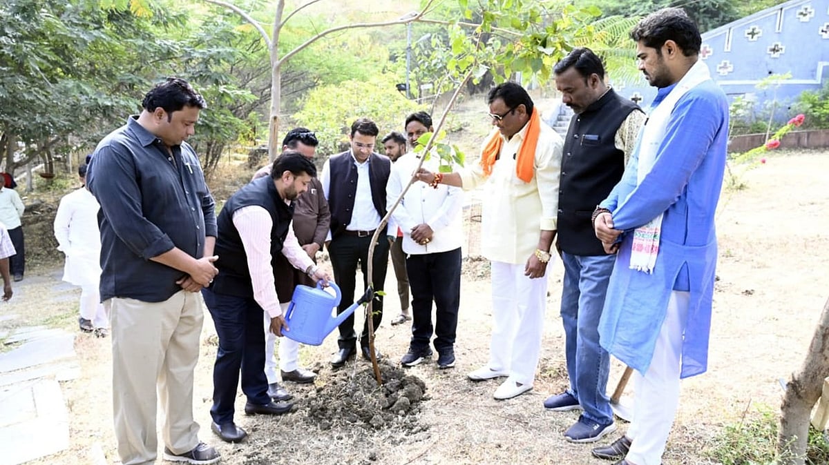 Madhya Pradesh: Daily plantation campaign launched in Dewas