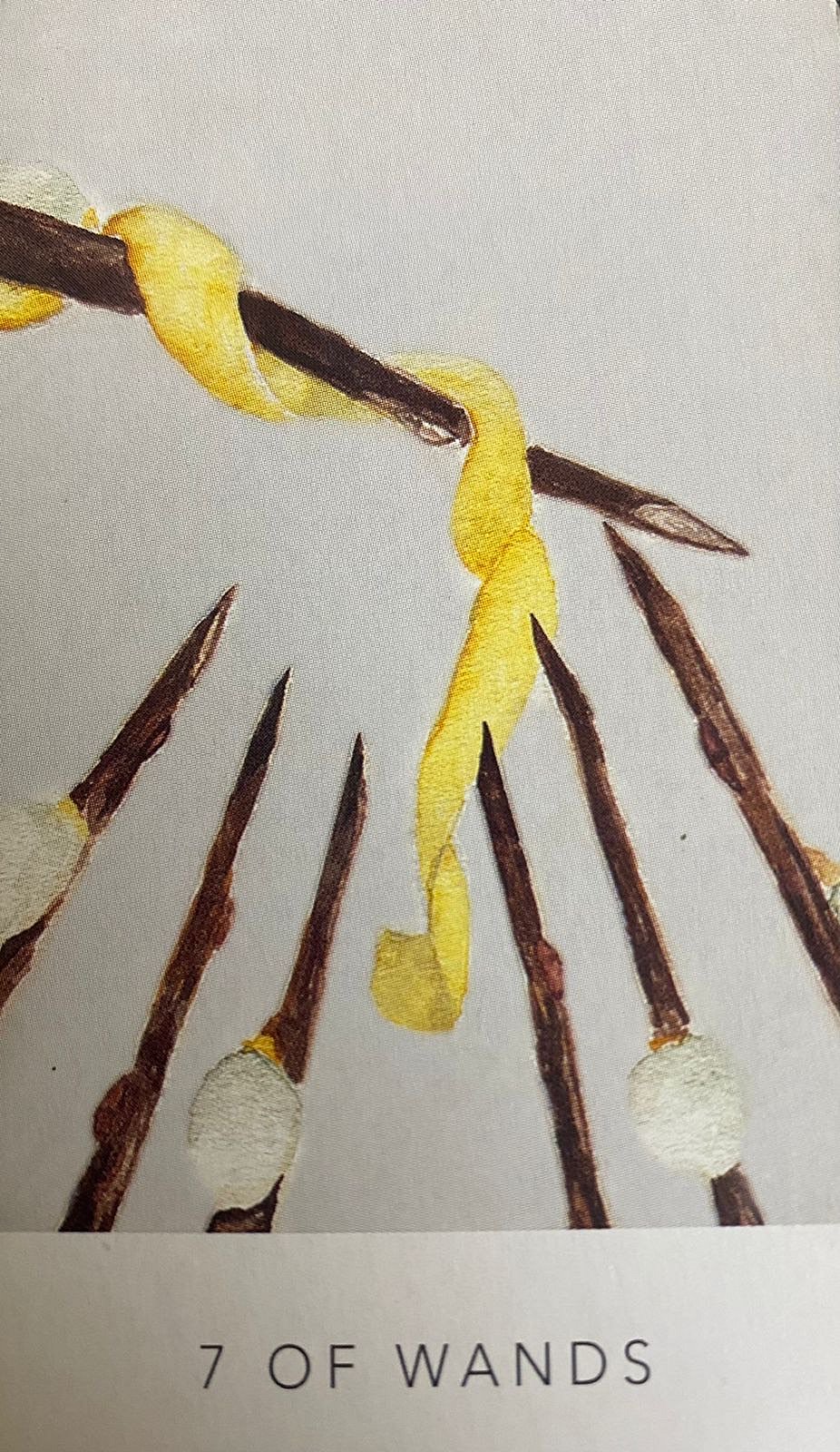 Seven of Wands