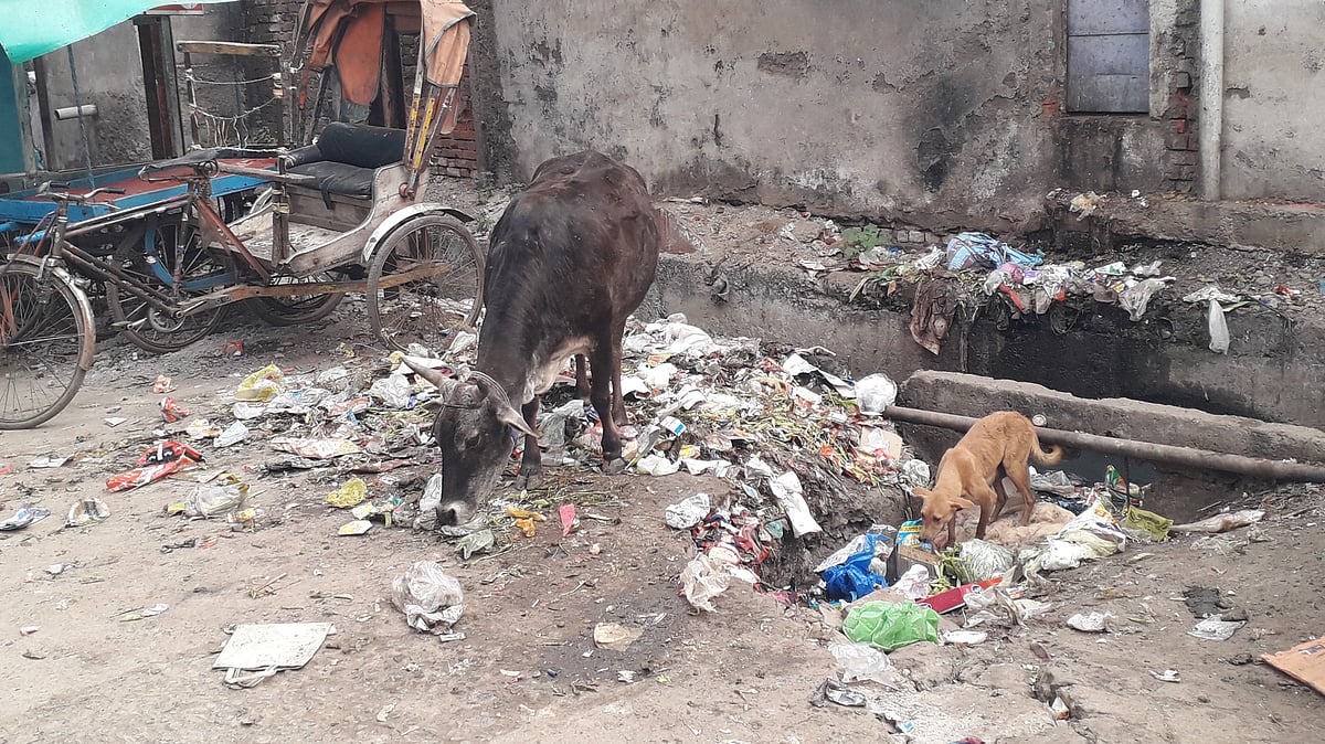 Madhya Pradesh: Despite civic body’s tall claim to keep Jabalpur city clean falls flat 