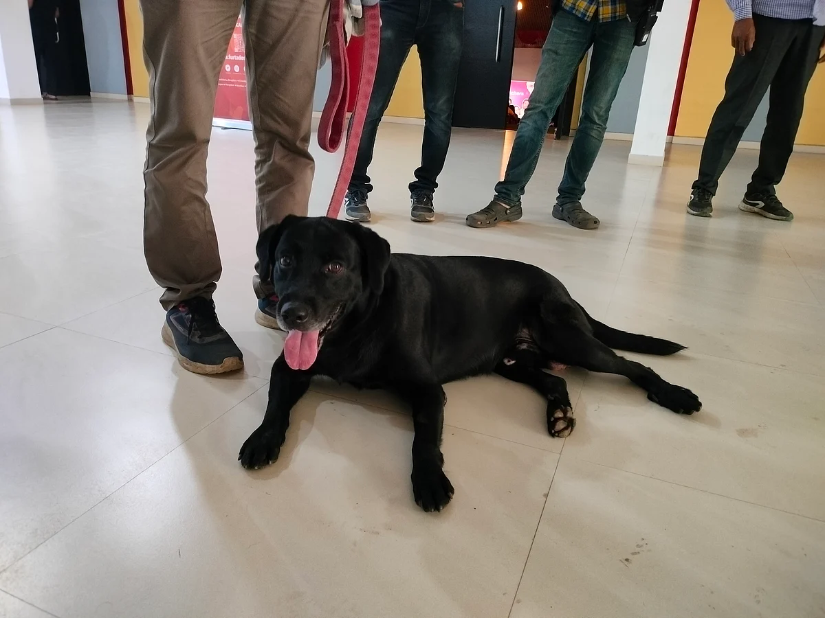 Moti, the Mumbai bomb squad dog, ensuring safety at Mood - I venues