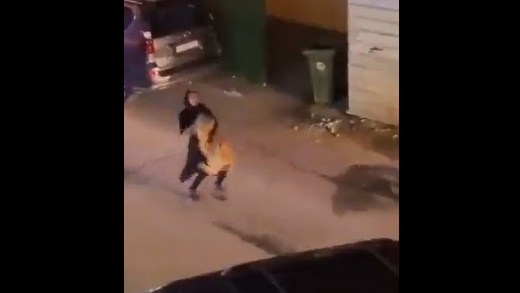 WATCH: Kuwaiti woman carrying pet lion with bare hands leaves internet in disbelief