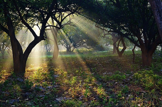 Guiding Light: When will HE appear?