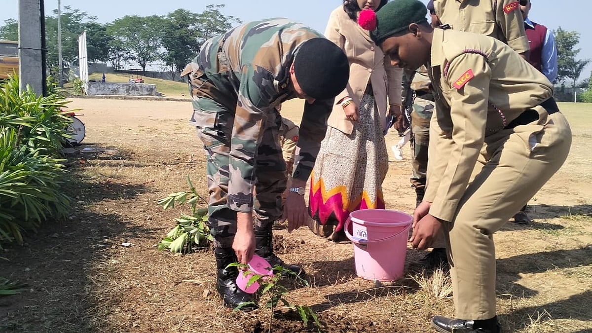 Madhya Pradesh: Farmers getting good prices for cocoons at Malakhedi market