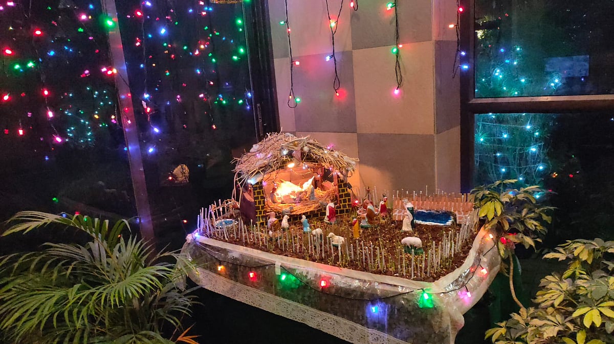 Mumbai Cribs, decorated trees a clean heart and protest celebrations