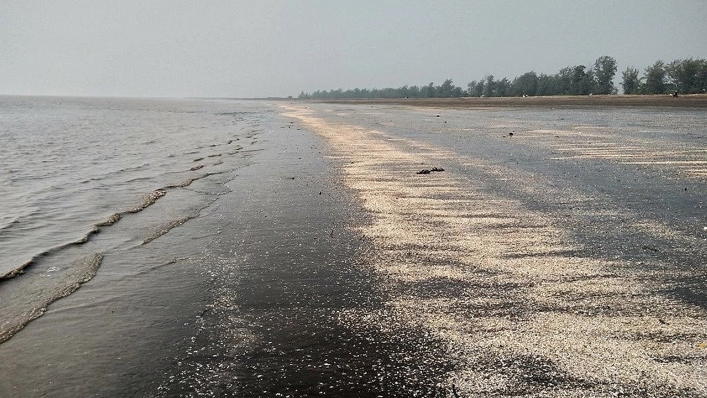 Mumbai: BMC appoints consultant to study raw sewage polluting sea