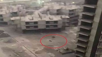 WATCH: Leopard enters society in Greater Noida, creates panic among residents