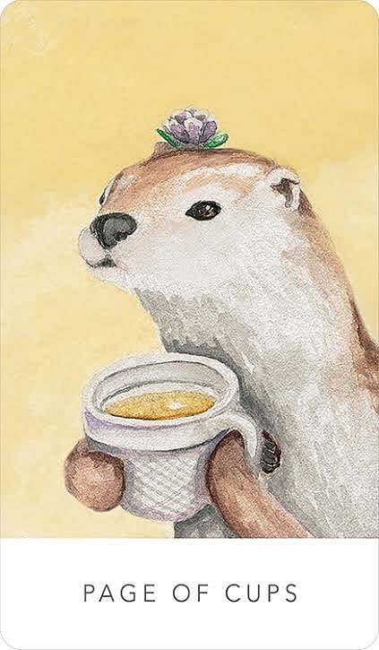 Page of Cups