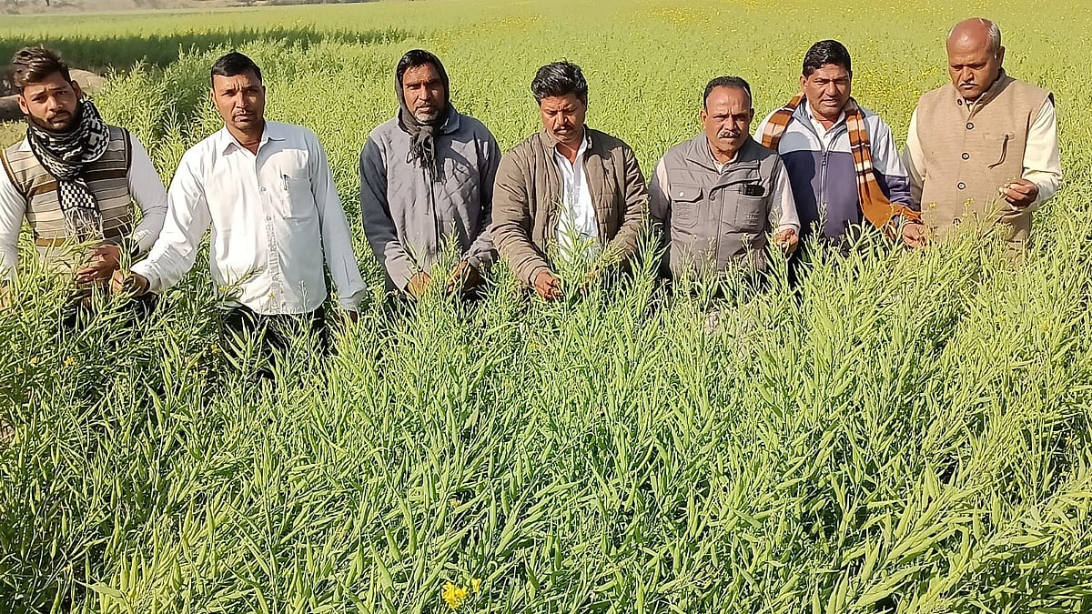 Madhya Pradesh: Coldwave destroys Rabi crop, Congress seeks compensation in Malhargarh