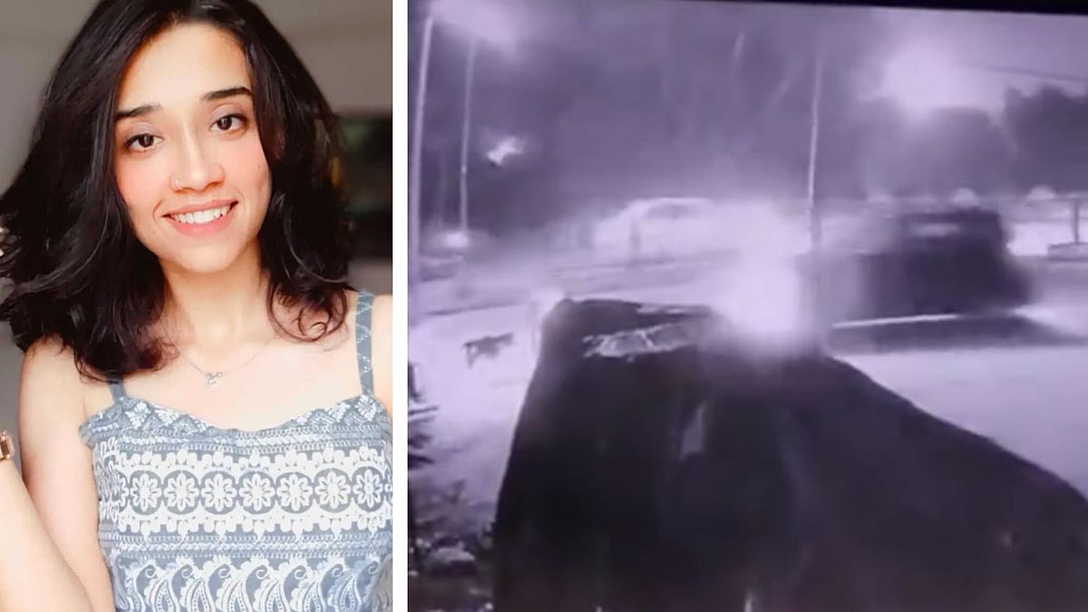 Chandigarh Shocker! Woman feeding stray dogs run over by car, watch video