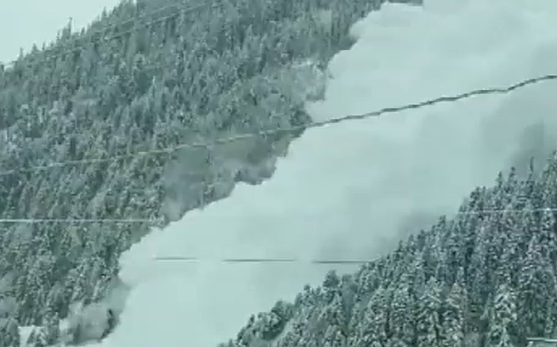 WATCH: Massive snow avalanche near Baltal in Jammu and Kashmir