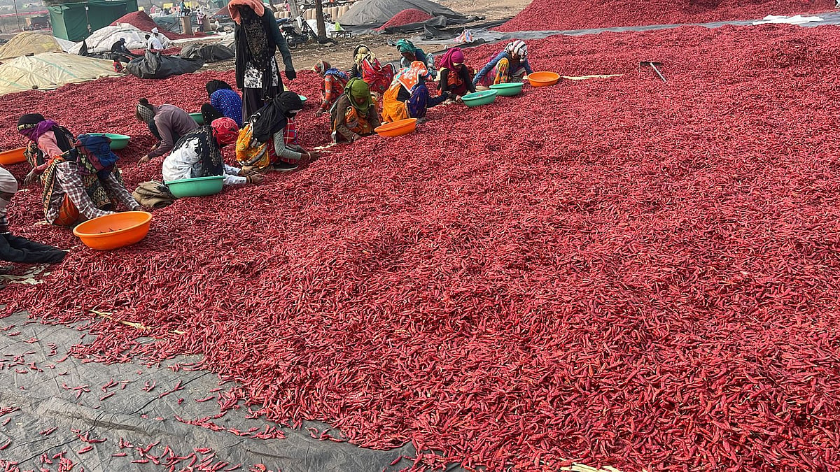 Madhya Pradesh: Rs 5.3 crore to be pumped for infra in Bedia Mirchi Mandi in Sanawad