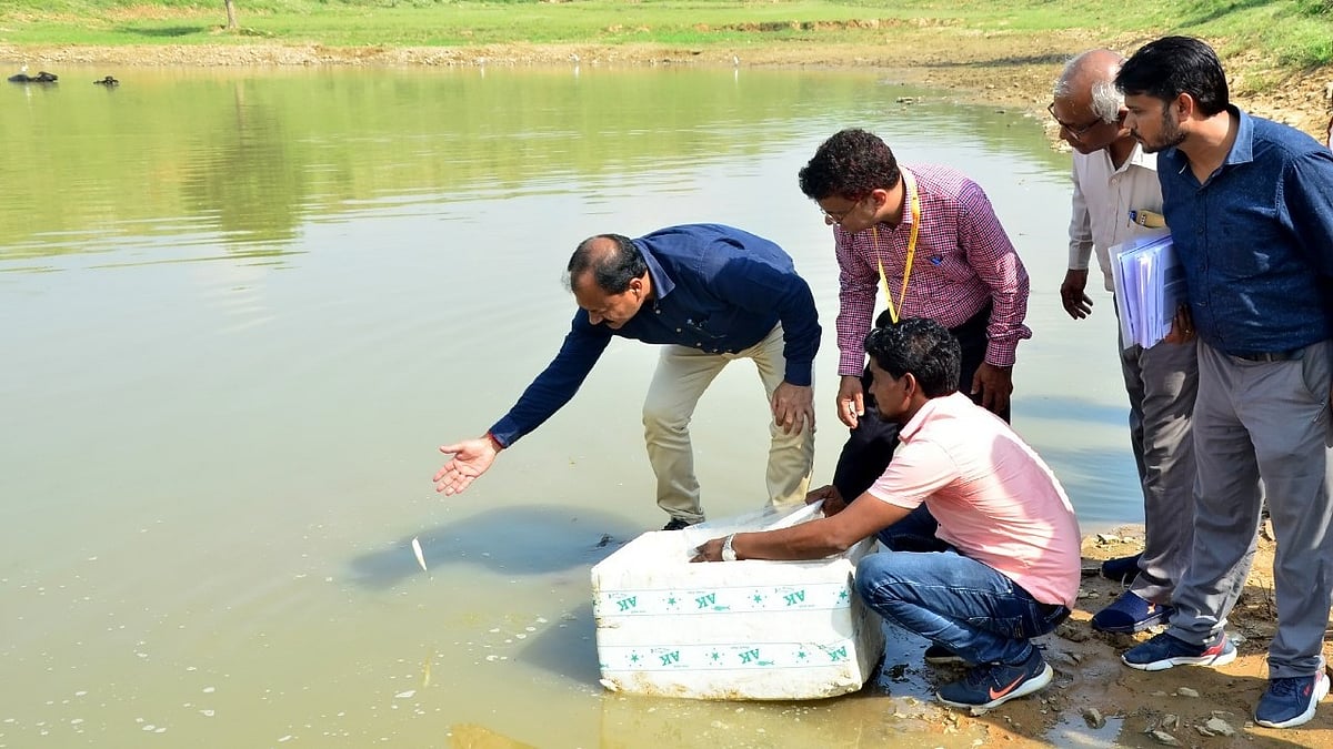 Madhya Pradesh: Women to manage ponds through self-help groups in Morena