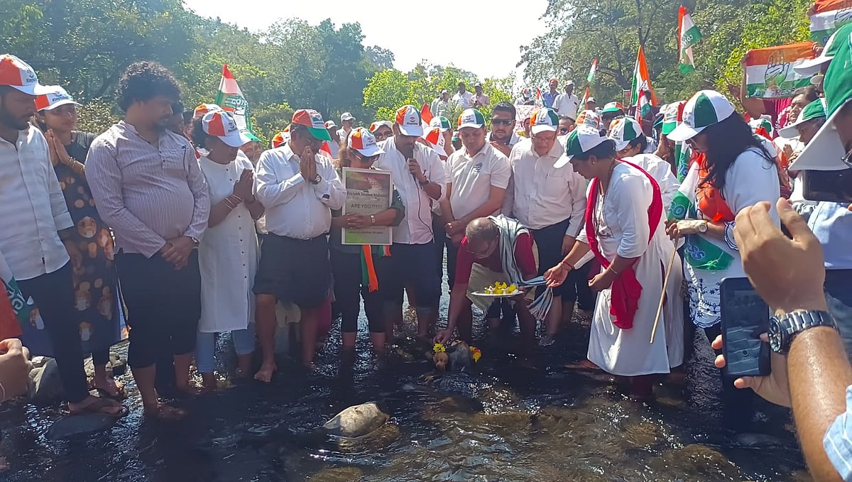 Goa: Congress to create awareness of Mhadei issue across State