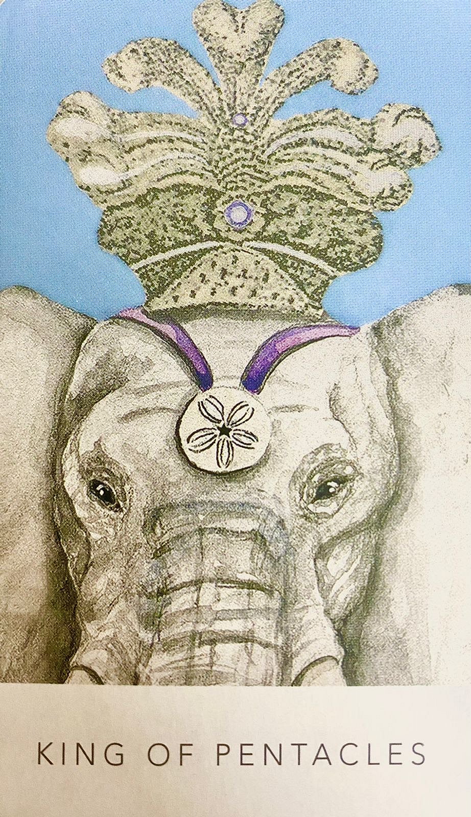 King of Pentacles