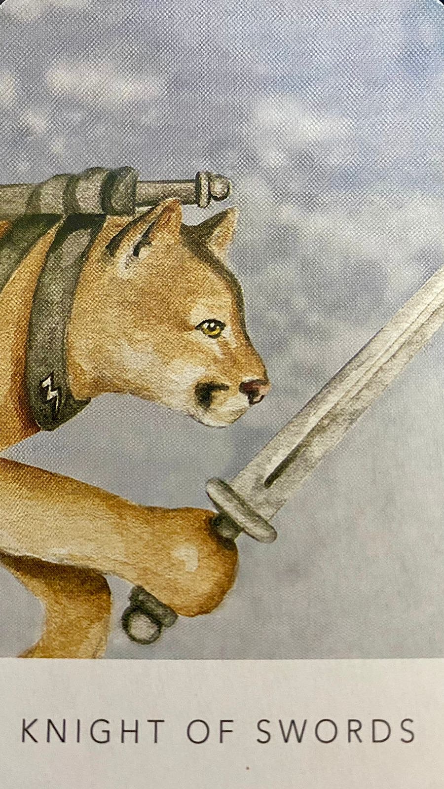 Knight of Swords