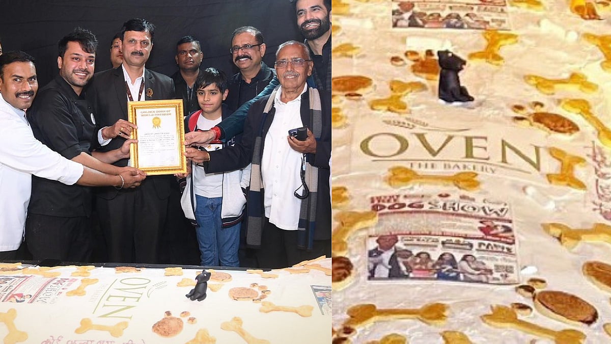 Watch: 160 kg cake made at 'Jaipur Dog Show 2023' sets record for largest cake made for stray dogs