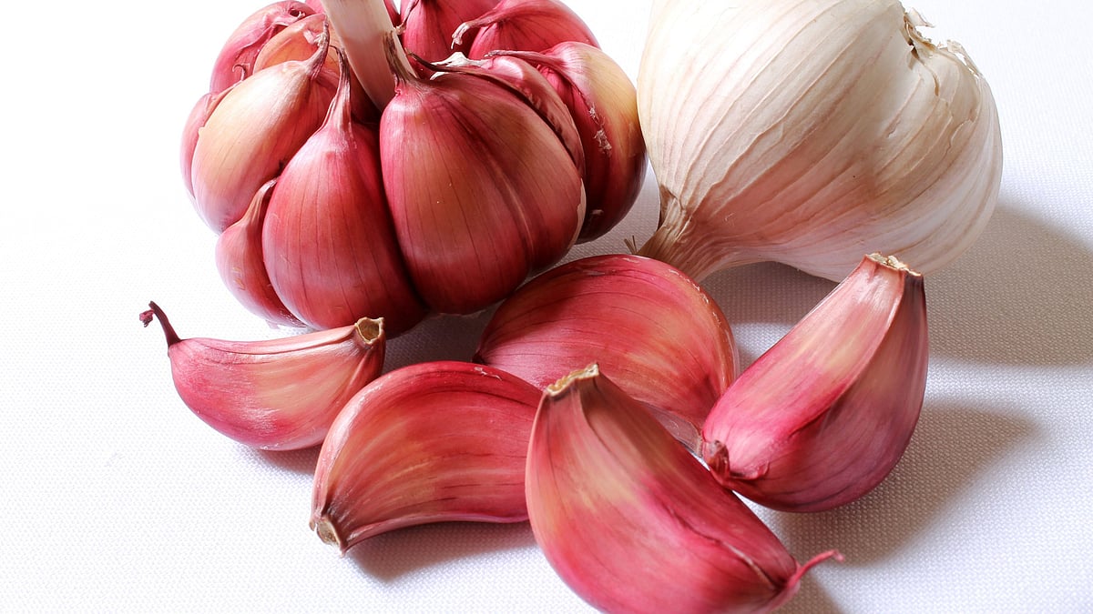 GARLIC: 12 health benefits of this ALL-IN-ONE herb