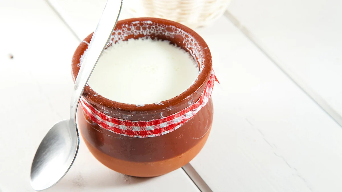 Curd in Clay Kulhad