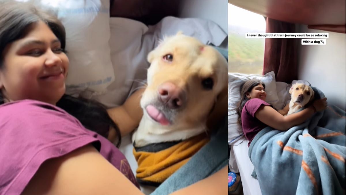 WATCH: Woman travels with pet dog in Indian Railways; shares 'relaxing' experience in viral Instagram reel 