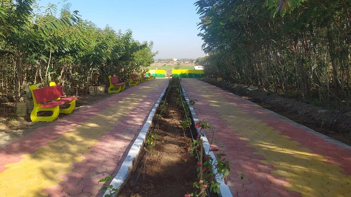 Madhya Pradesh: During lockdown, villagers had sweated to turn a desolate wasteland into lush green forest in khargone