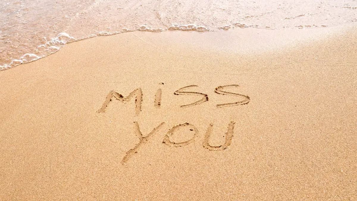Missing Day 2023: Celebrate THIS date after Valentine's day to let him/her know you miss them; images and quotes to share