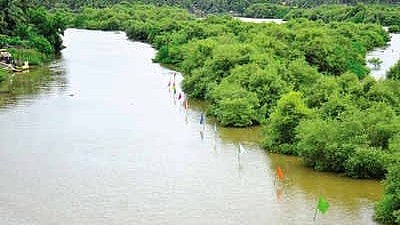 UP: Water Levels At Gomti River Origin In Pilibhit Drop 70%, Raising Long-Term Concerns