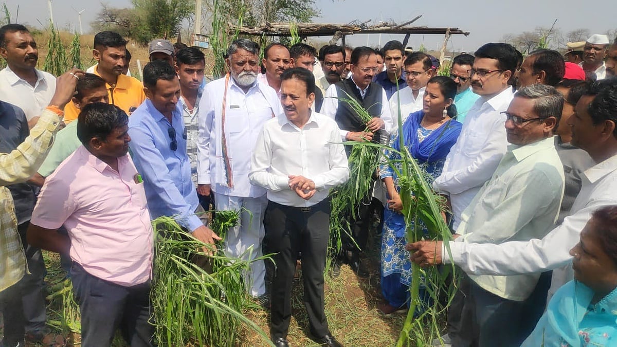 Hailstorms destroy crops in Nashik, Dhule while unseasonal rains provide respite to Mumbaikars