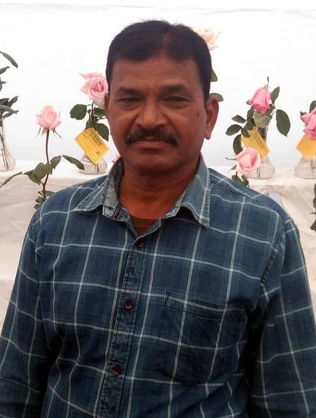 Tulsiram Kushwaha