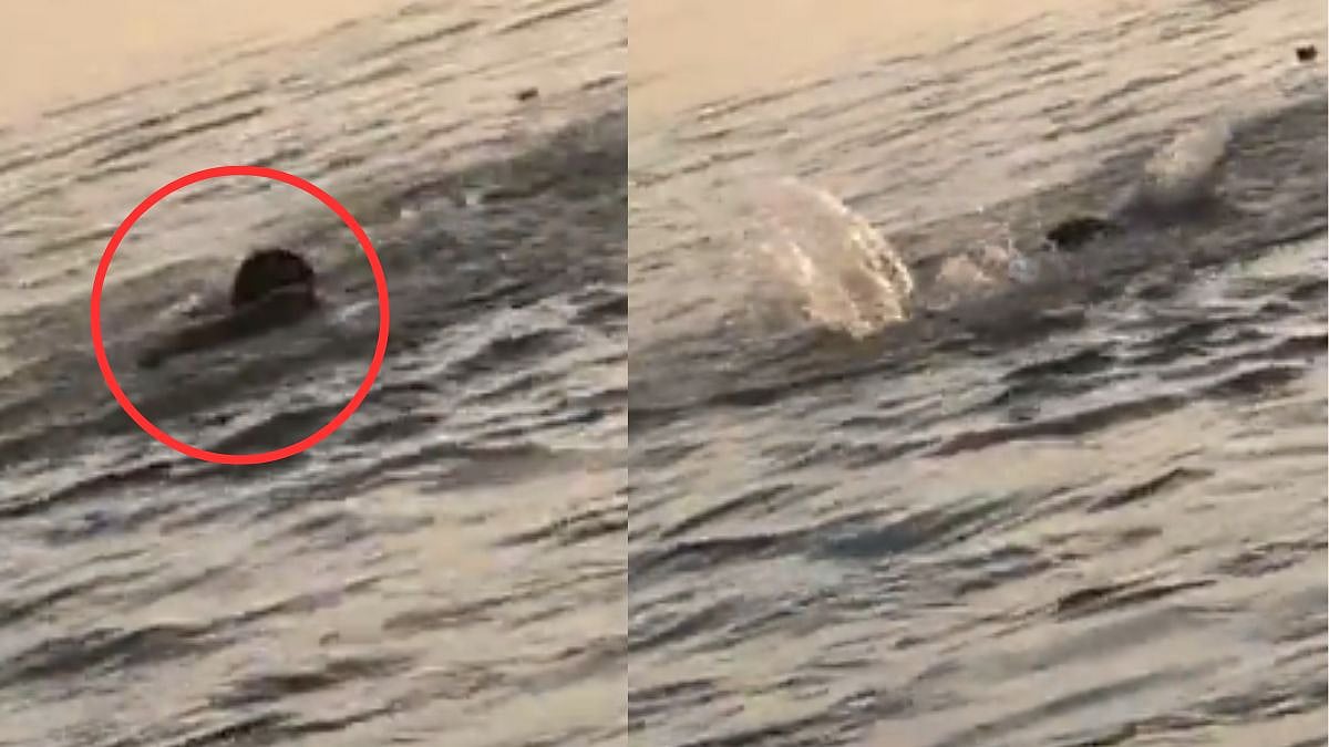 Shocking video! UP youth creating reel in river Ganga drowns while taking a holy dip 