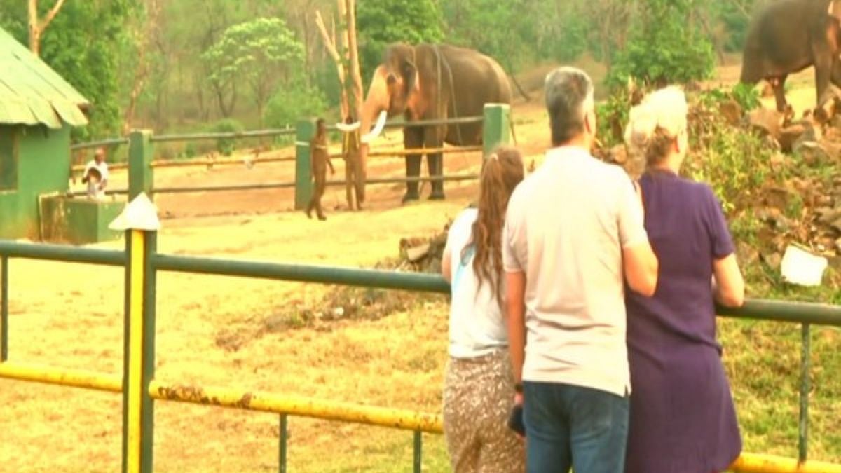 The Elephant Whisperers | Photo: ANI