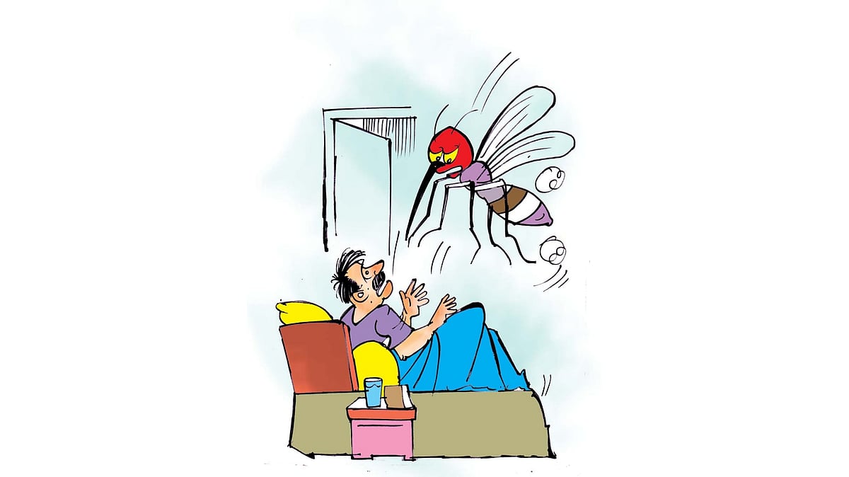 Mosquito menace: BUZZZZ.... Nobody is safe from the sting