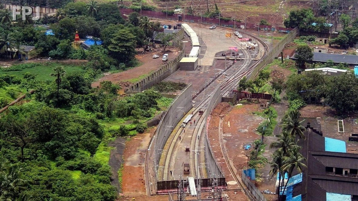 Bombay High Court: 'Ask SC, how many Aarey trees can be axed'