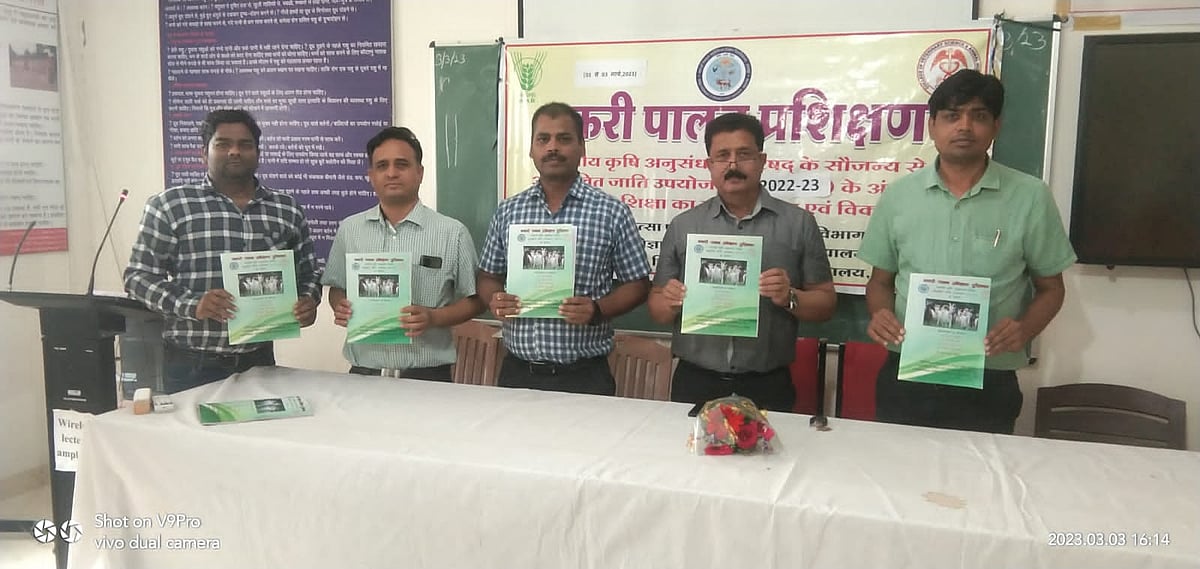 article-image