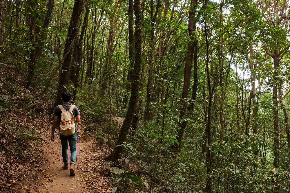 Representative Image | Freepik