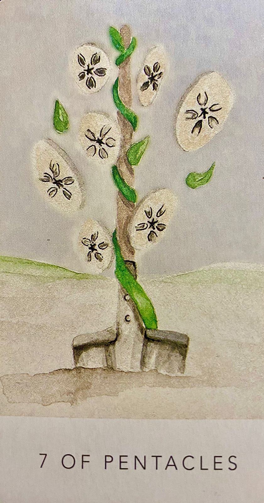 Seven of Pentacles
