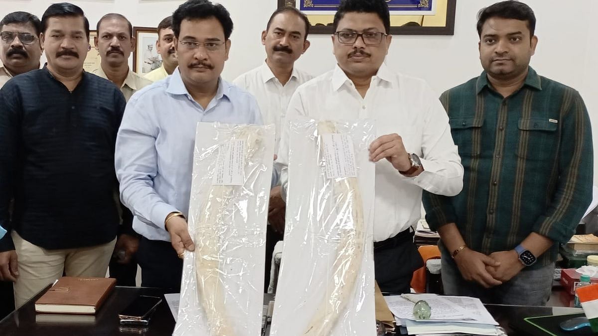 Thane: Two arrested for smuggling elephant tusks worth ₹1.50 crore