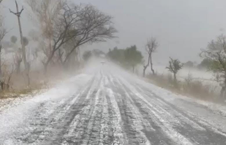 Hailstones cover roads in Sehore | FP Photo