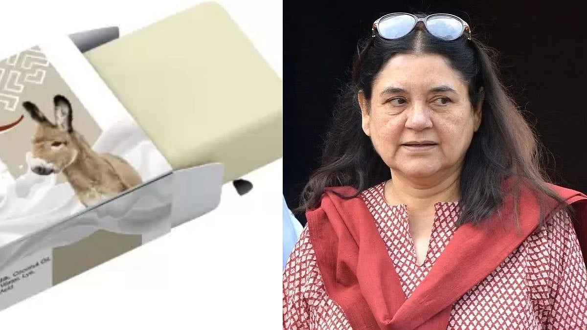 Maneka Gandhi: 'Donkey population has reduced; how long has it been since you people sighted the animal?' 