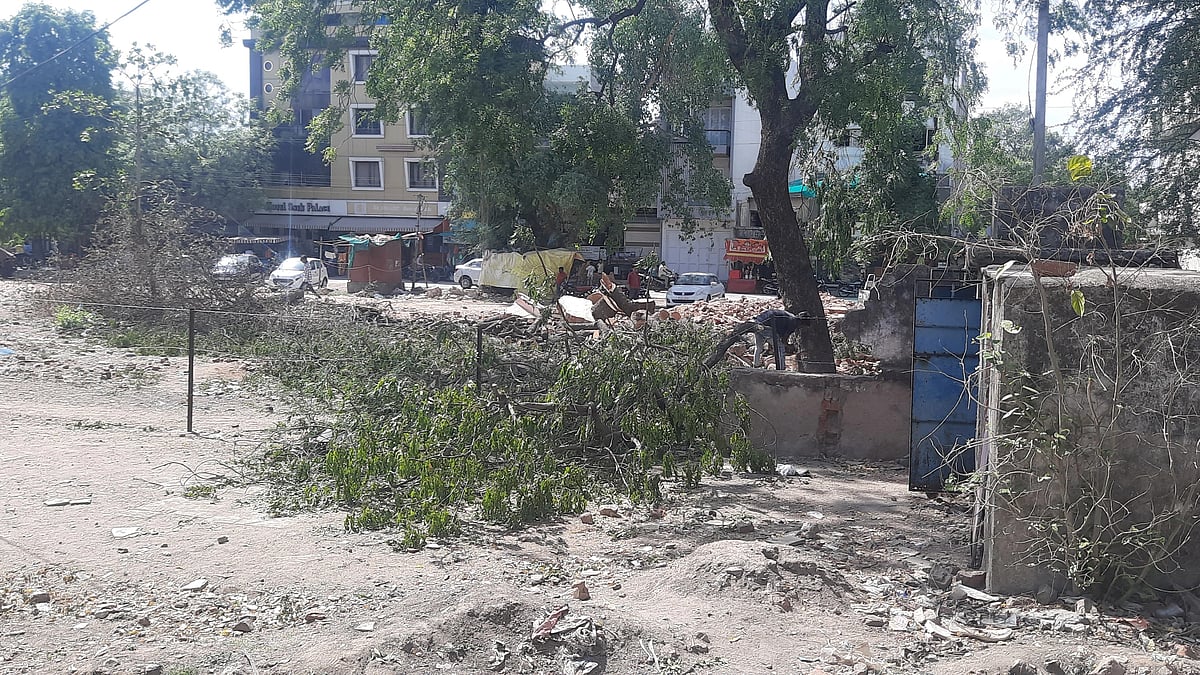 Madhya Pradesh: Trees felled for construction in Meghnagar, many illegally