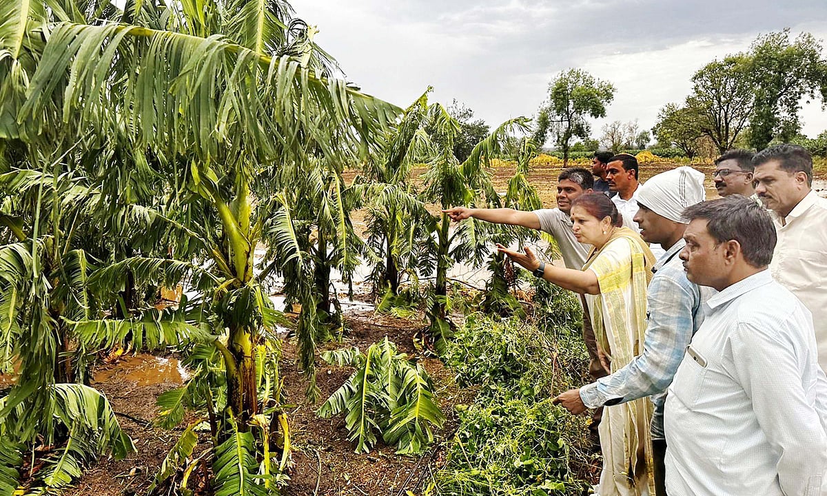 https://media.assettype.com/freepressjournal/2023-04/e3c2bf2f-7656-46c9-870b-7136d62f84a1/28_April___Burhanpur___Inspection.jpg