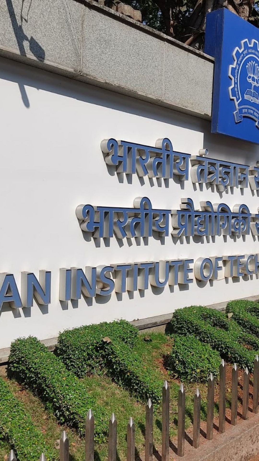 Popular undergraduate programmes at IIT Bombay; check list here