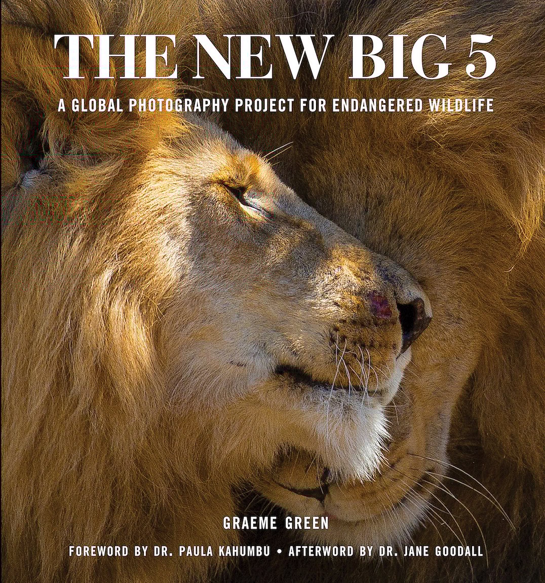 The New Big Five
