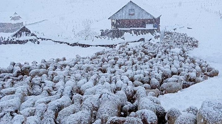 J&K: Unseasonal snowfall hits normal life in several parts; weather conditions to improve in next 24...